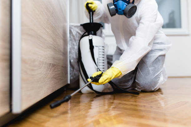 Best Termite Control Services  in Princeton, WI
