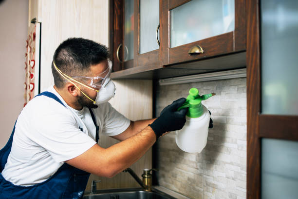 Best Best Pest Control Companies  in Princeton, WI