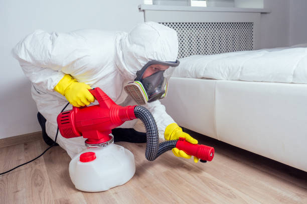 Best Local Pest Control Services  in Princeton, WI