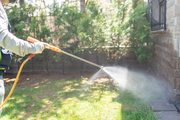 Best Wasp Removal Services  in Princeton, WI