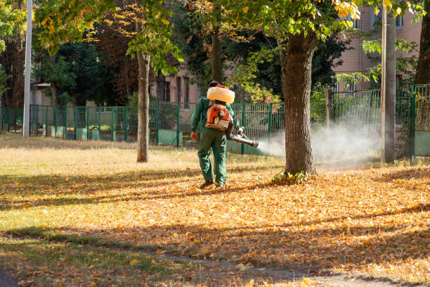 Best Emergency Pest Control  in Princeton, WI